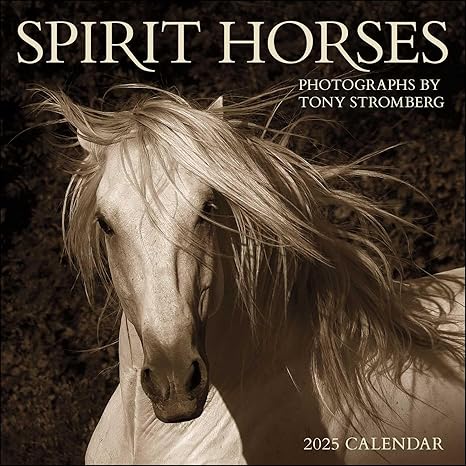 Spirit Horses Wall Calendar 2025