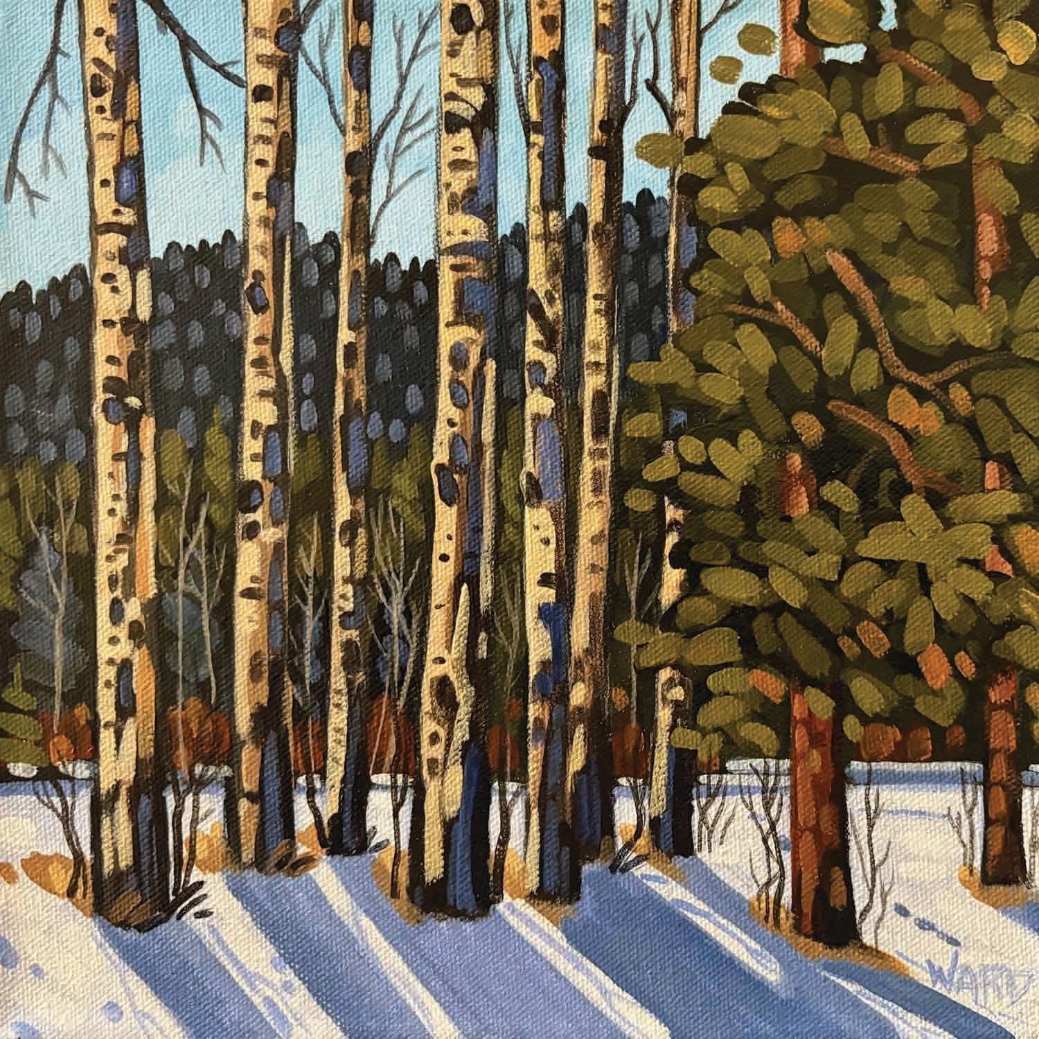 Winter Aspens