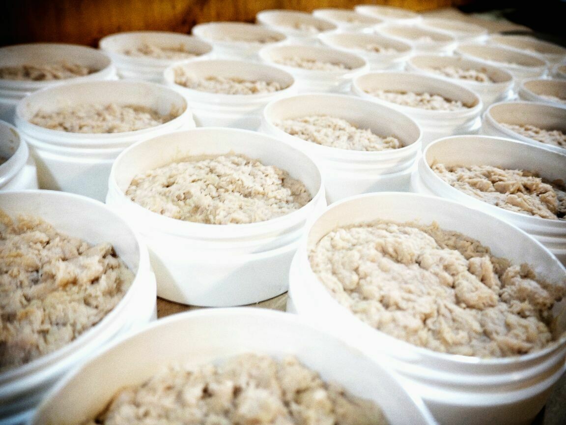 Shave Soap - Wild Rose Country