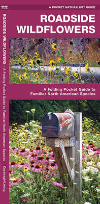 Pocket Guide Roadside Wildflowers