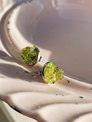 Bottle Stars - Green