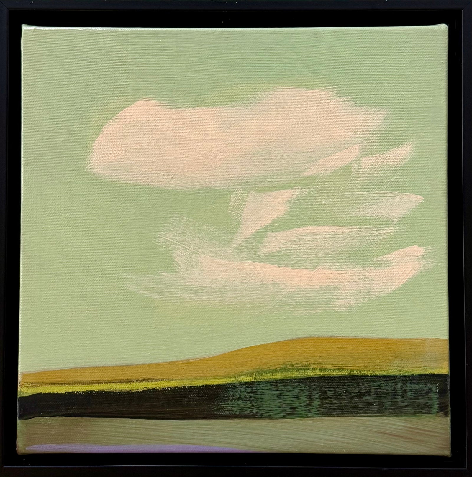 Salmon Clouds