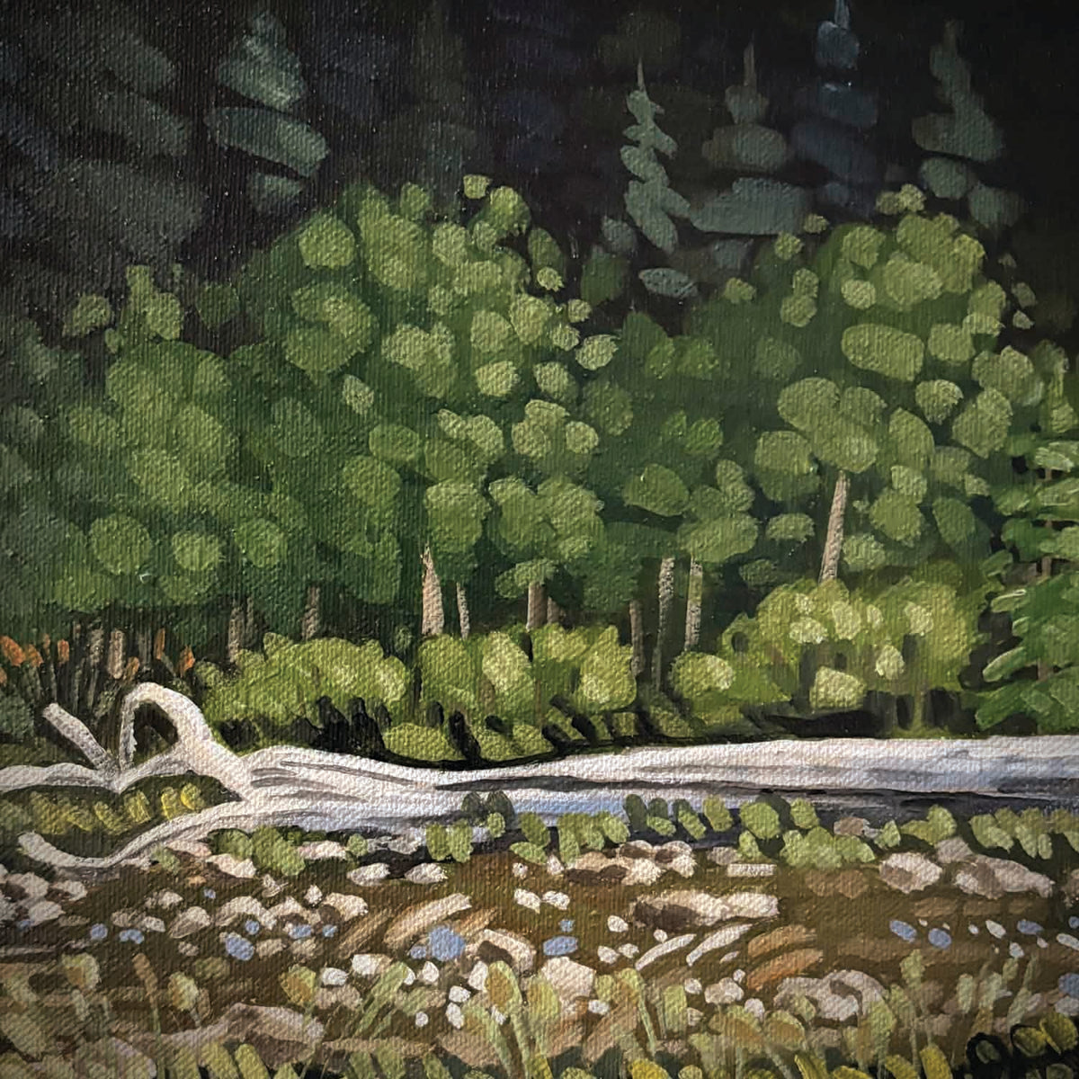 The Bench