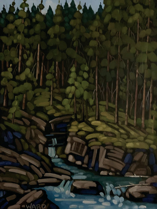 Wild Water
