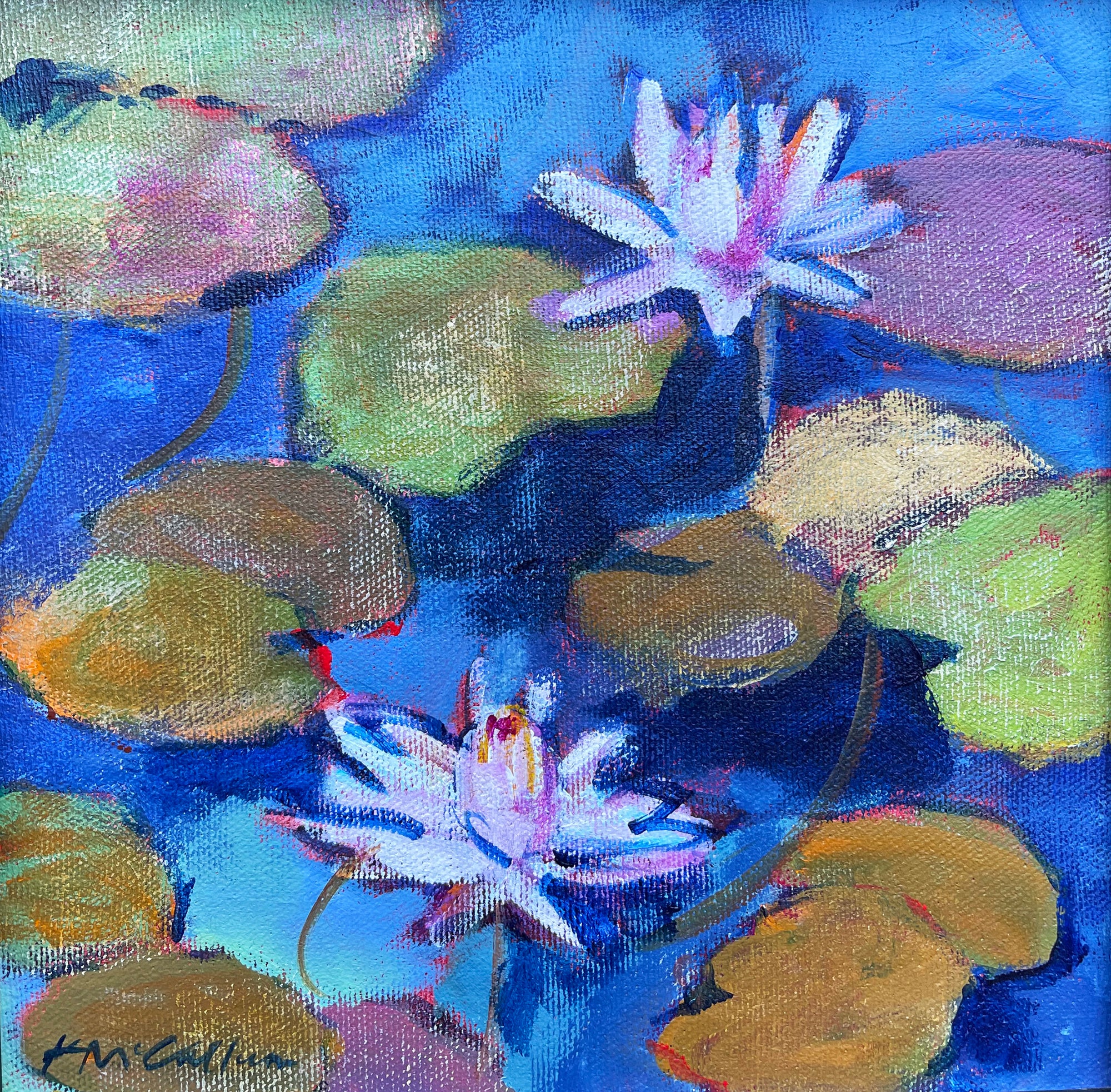 Water Lily Love