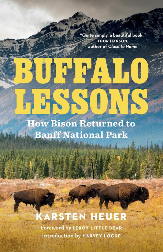 Buffalo Lessons