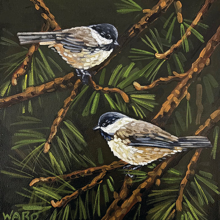 Chickadees