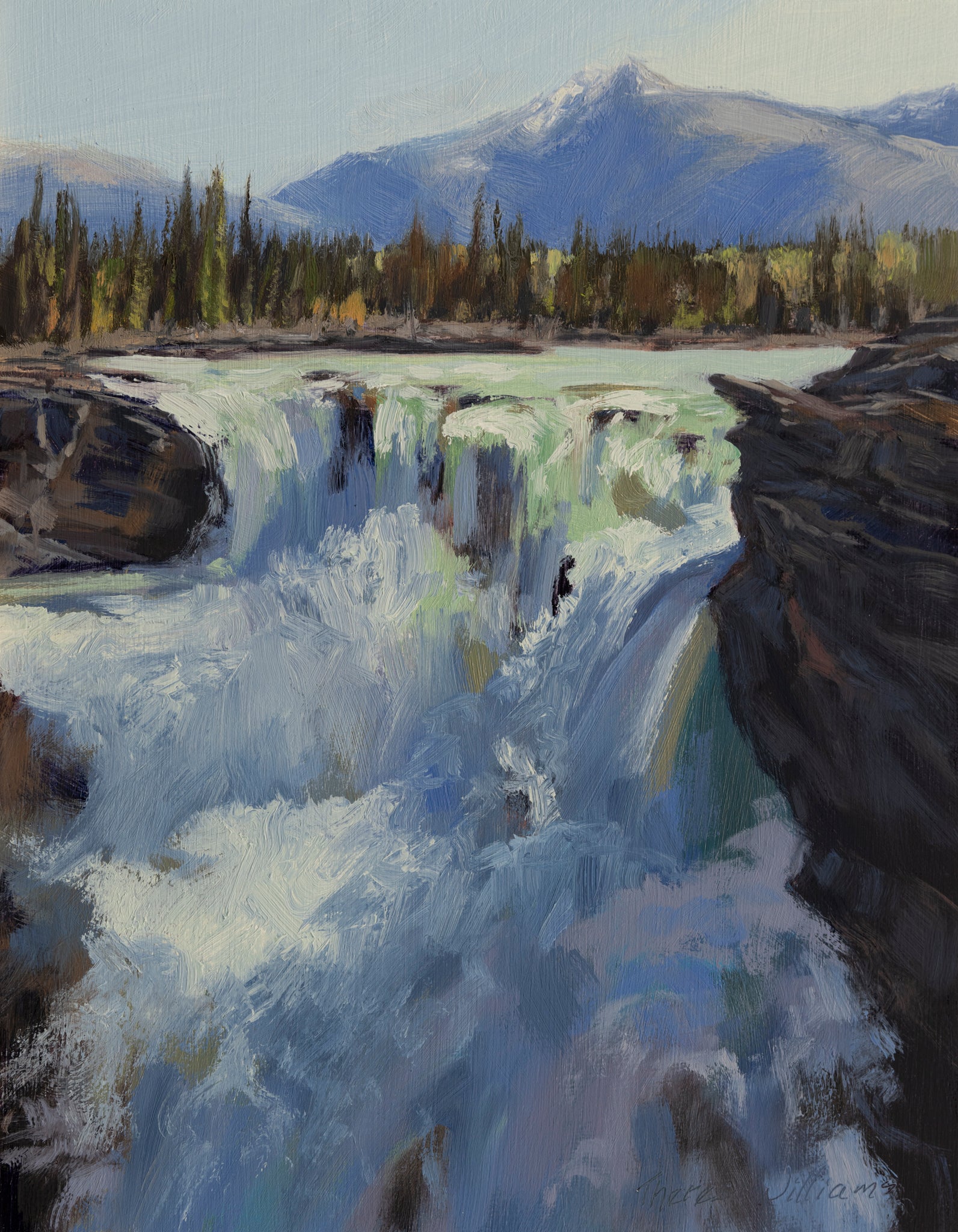 Athabasca Falls Study