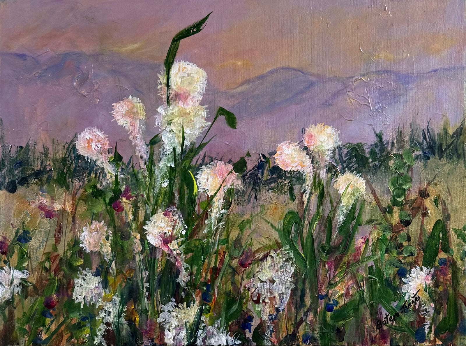 Land of the bear grass