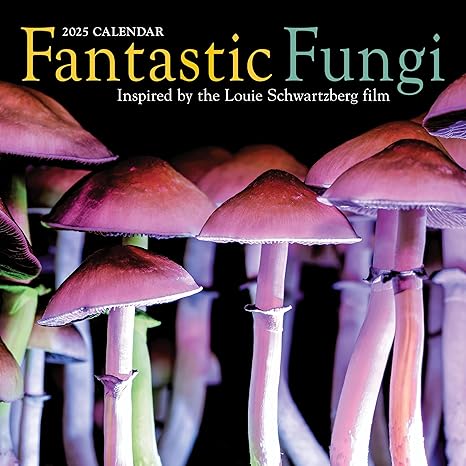 Fantastic Fungi Wall Calendar 2025