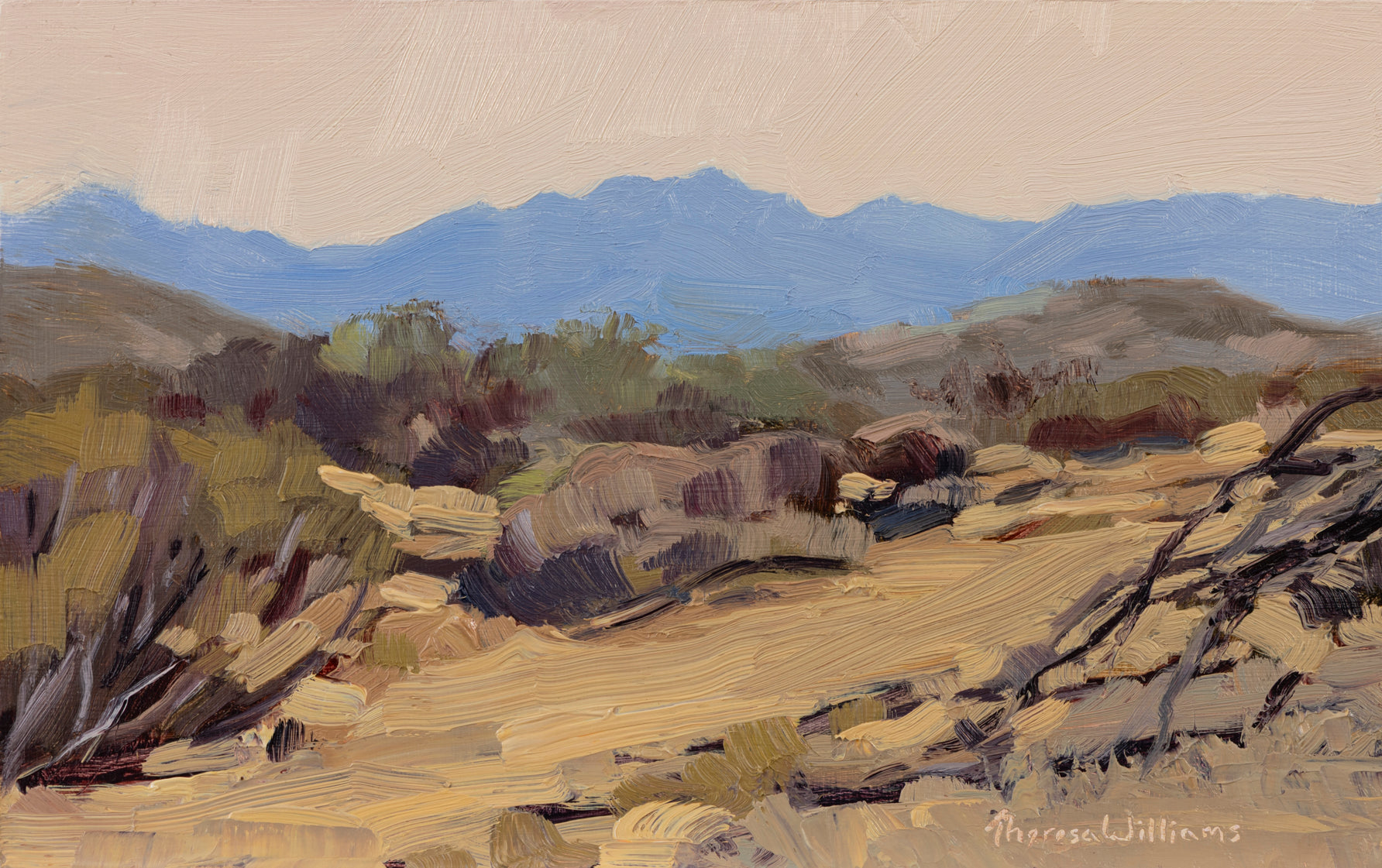 McDowell Afternoon