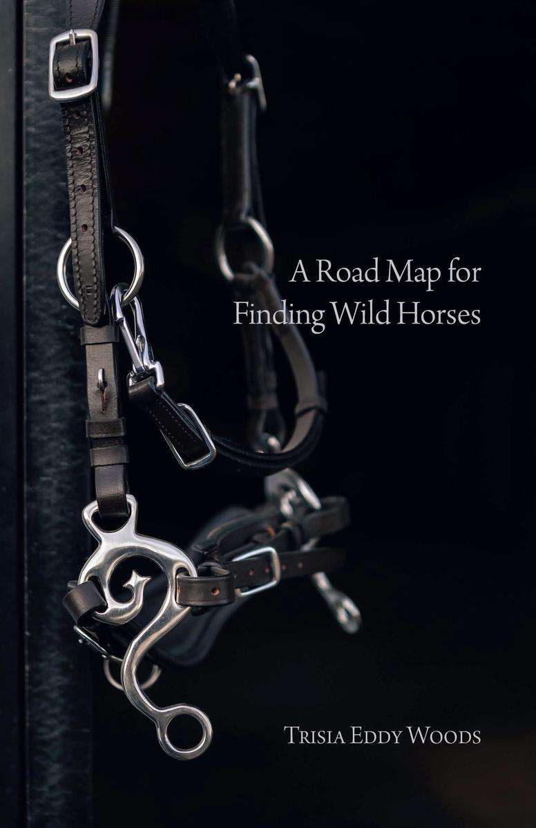 A Road Map for Finding Wild Horses