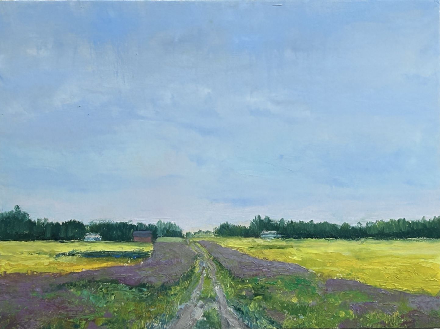 Parkland Fields