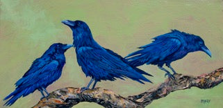 Enticing The Ravens