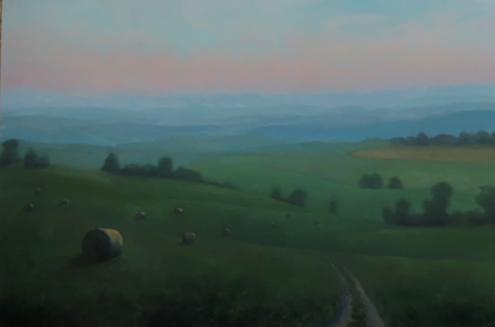 Hayfield In The Foothills