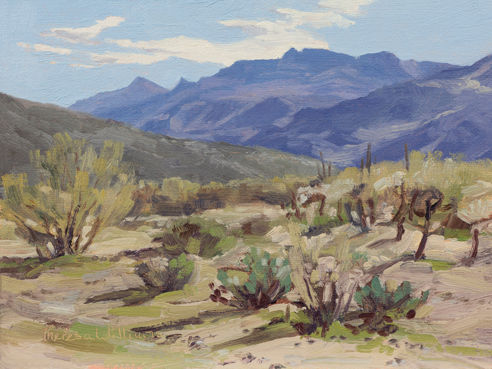 Desert Spring