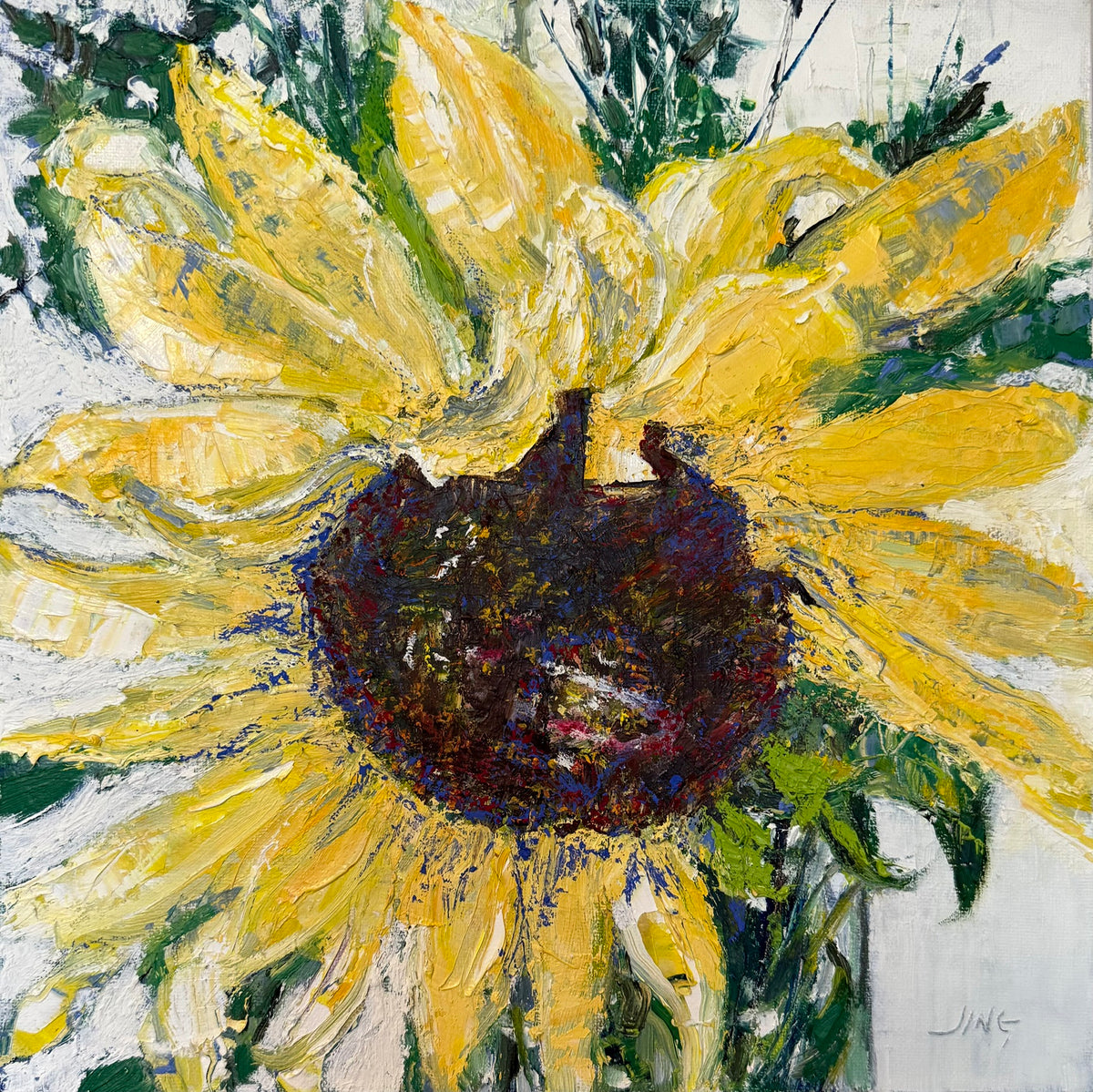 Sunflower, from the Garden