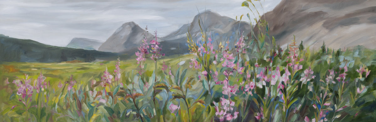 Abundance of fireweed at Bow Lake