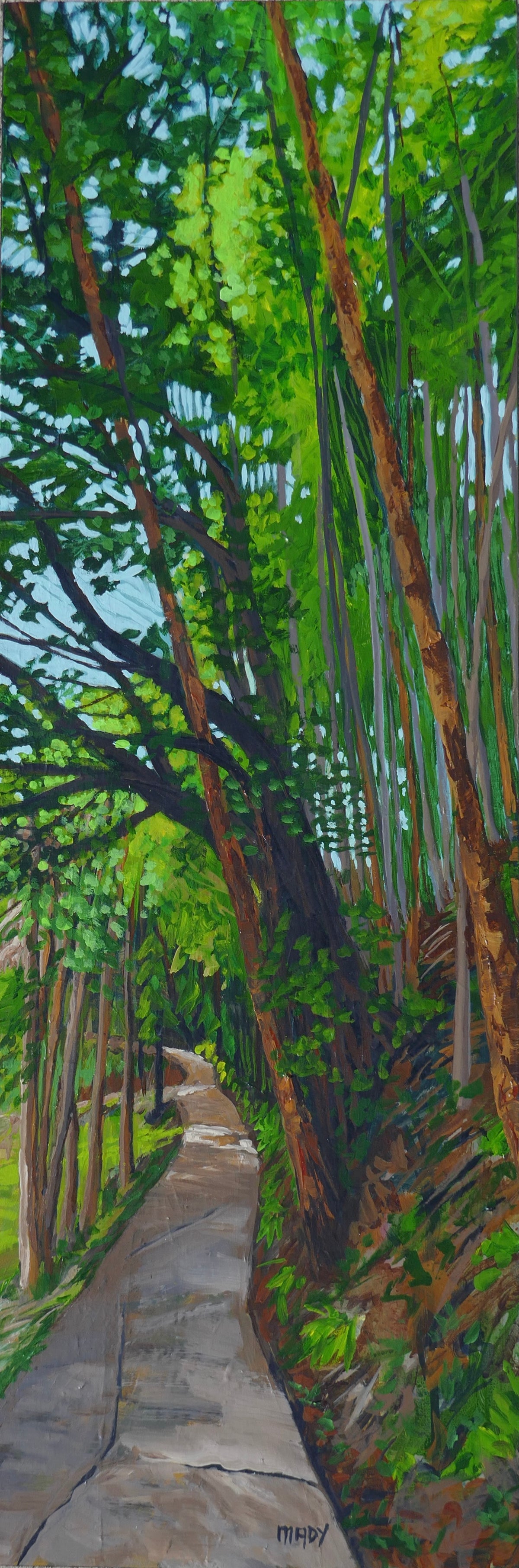 Canopy