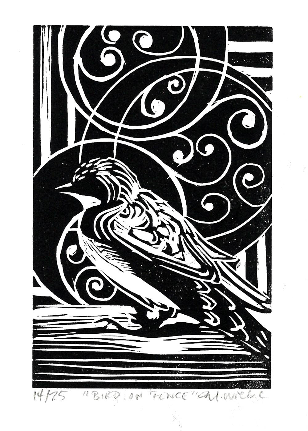 Bird on Fence