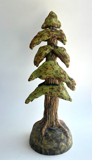 Cedar Trees
