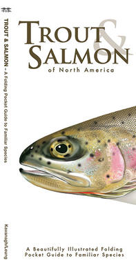 Pocket Guide Trout and Salmon of North America