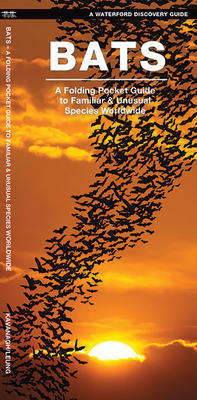 Pocket Guide - Bats
