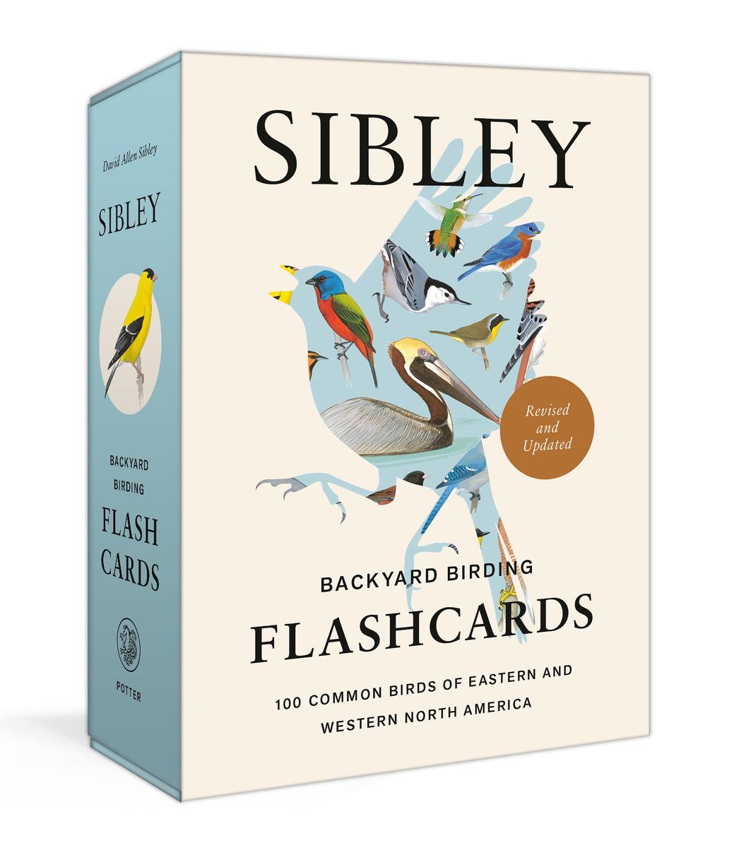 Sibley Backyard Birding Flashcards: Revised and Updated