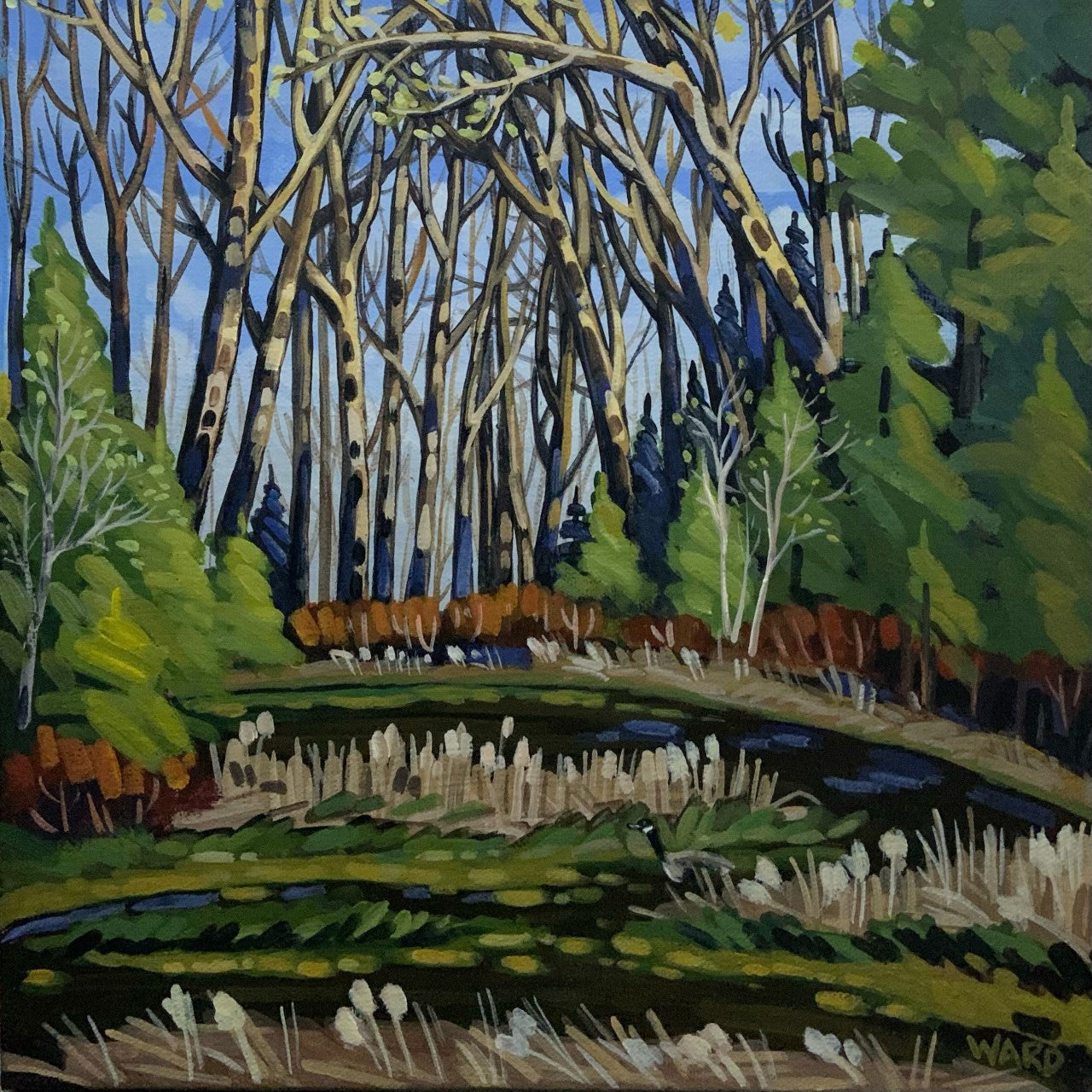 The Marsh