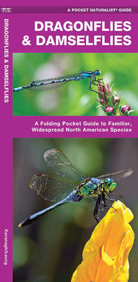 Pocket Guide Dragonflies and Damselflies