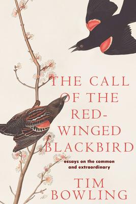 The Call of the Red-winged Blackbird