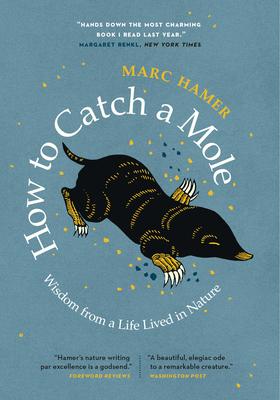 How To Catch a Mole