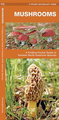 Pocket Guide Mushrooms (N. American Species)