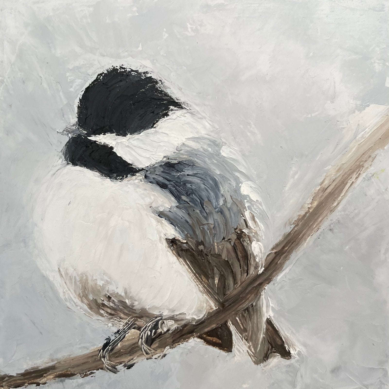 Birds Card Pack of 6