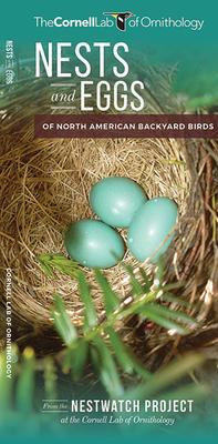 Pocket Guide Nests and Eggs