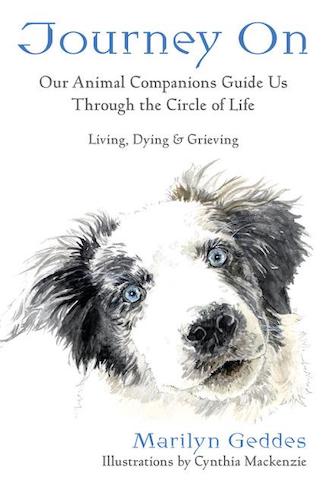 Journey On: Our Animal Companions Guide us Through the Circle of Life